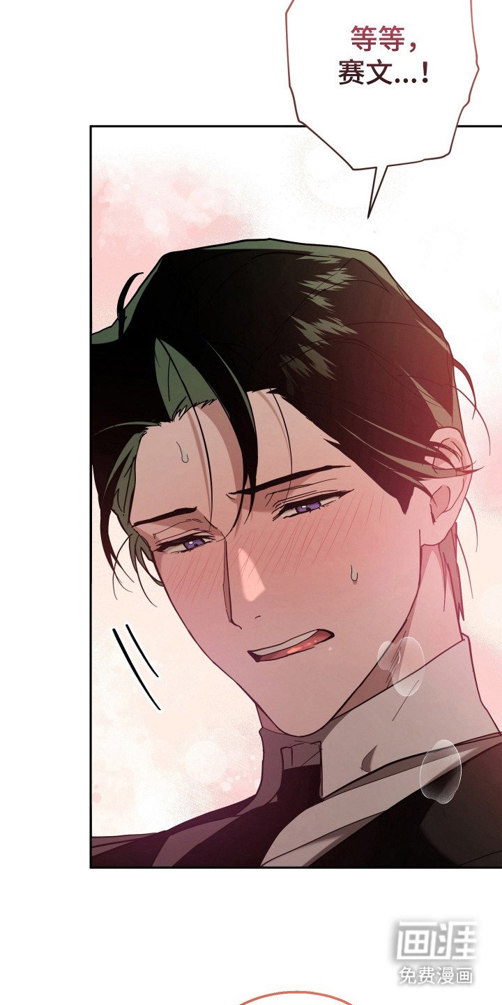 第13章：全家福