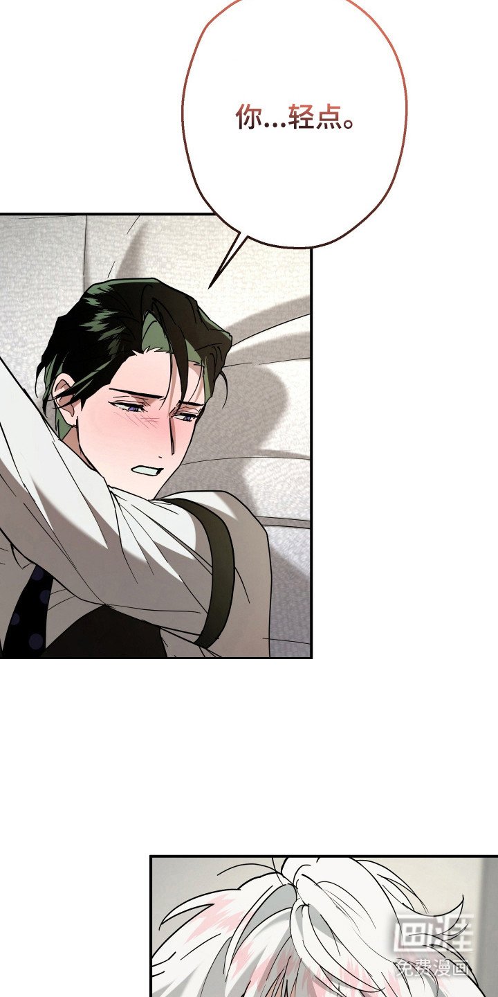 第13章：全家福