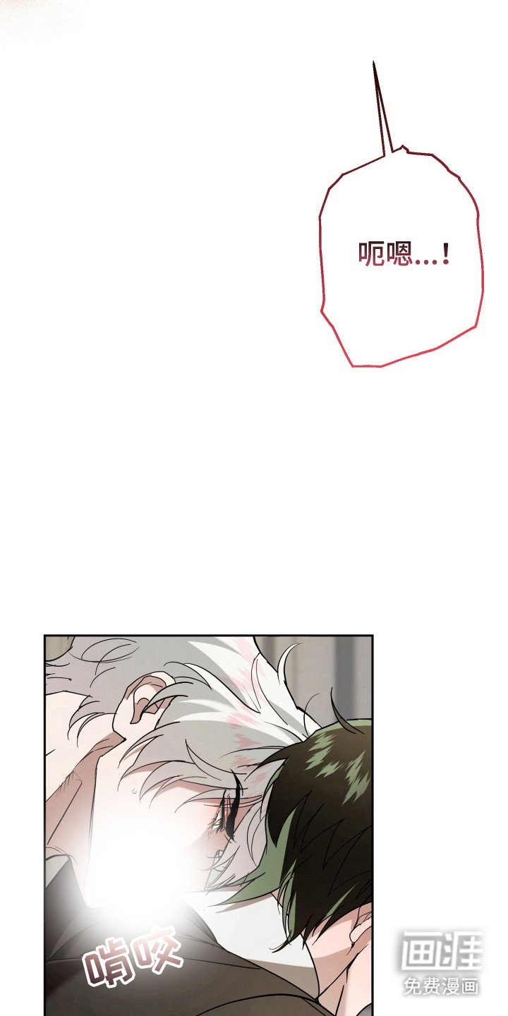 第13章：全家福