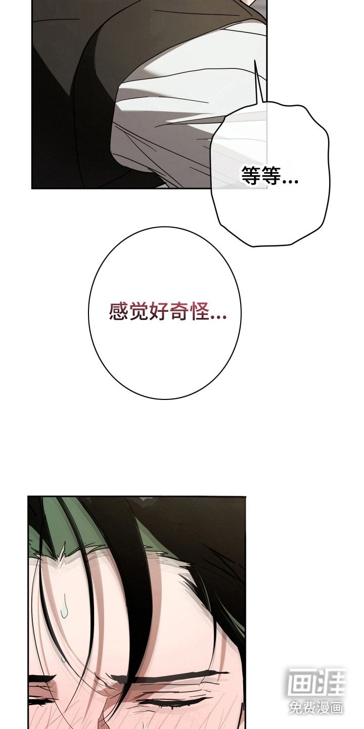 第13章：全家福