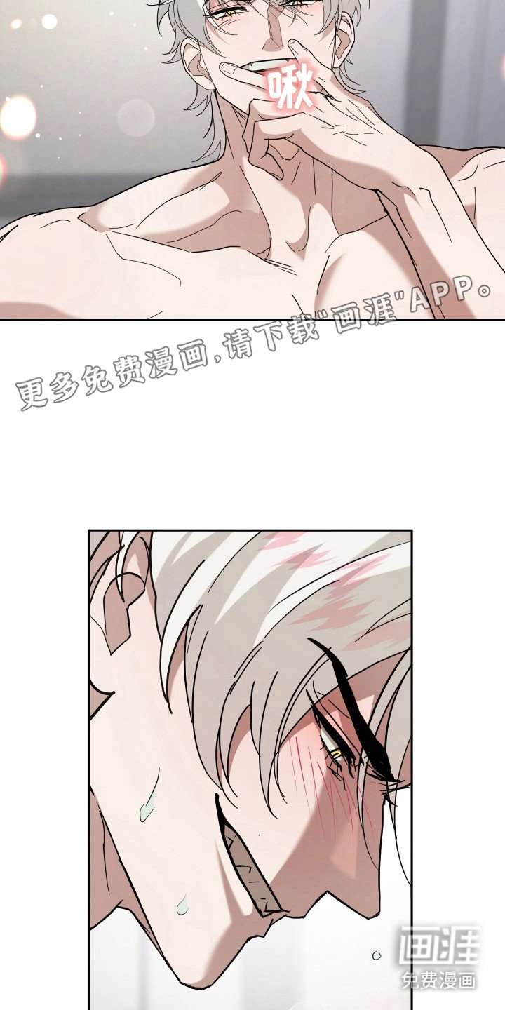 第13章：全家福