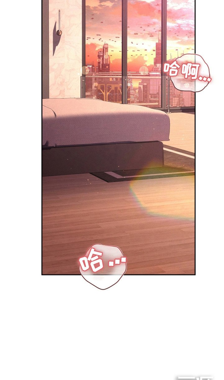 第13章：全家福