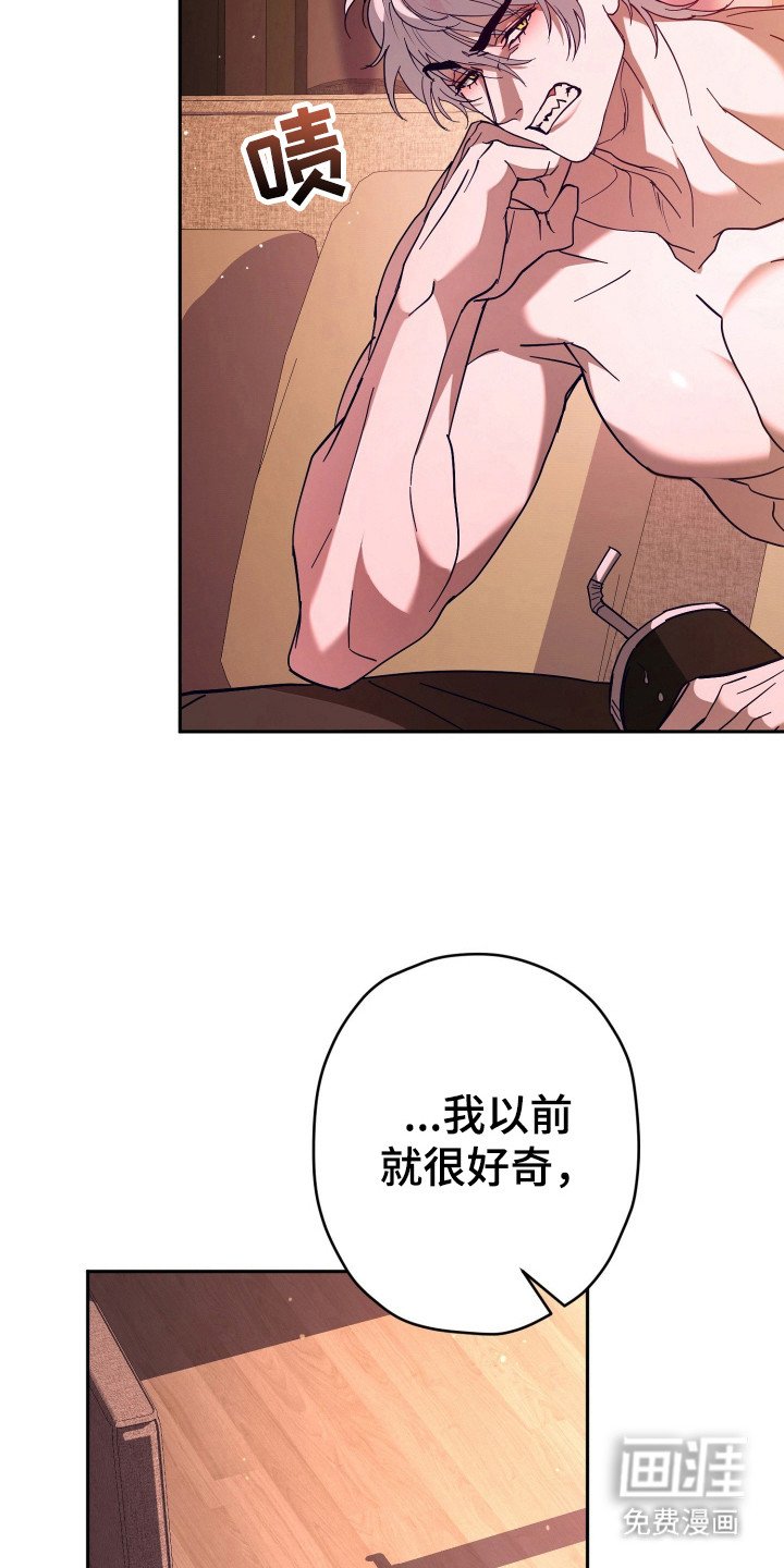 第14章：真心话