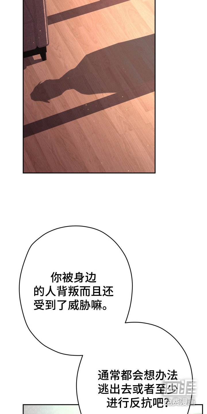 第14章：真心话