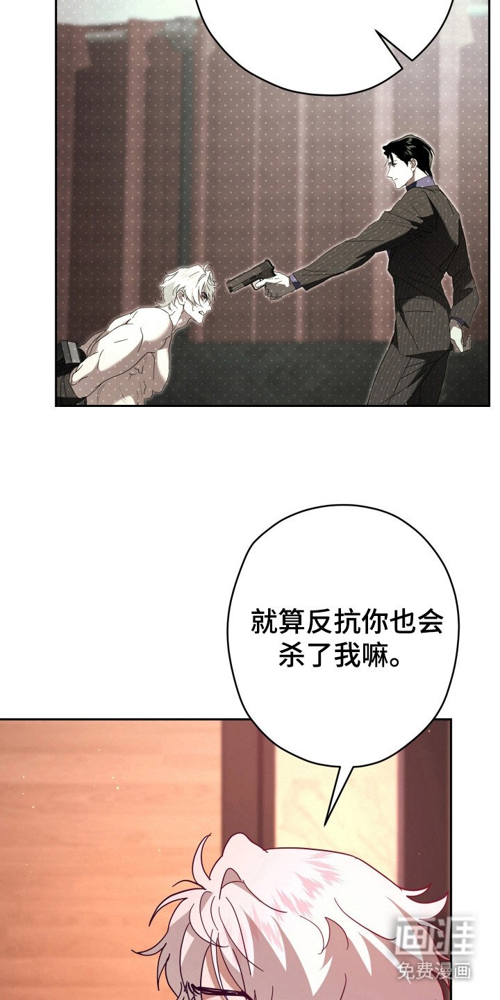 第14章：真心话