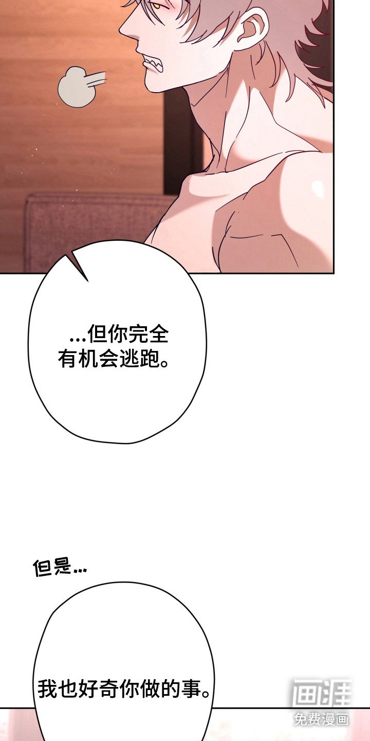 第14章：真心话