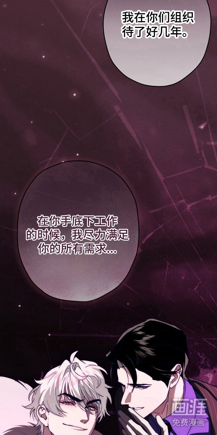 第14章：真心话