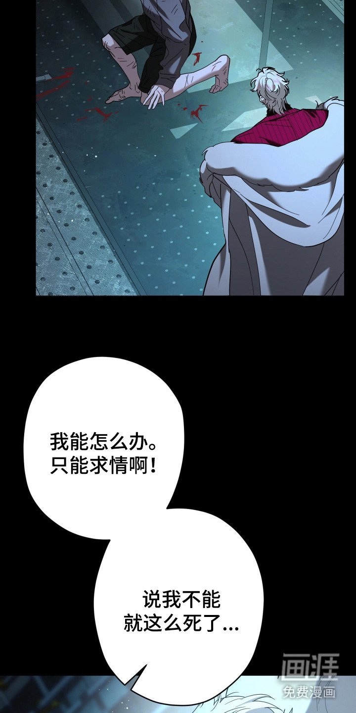 第16章：情报