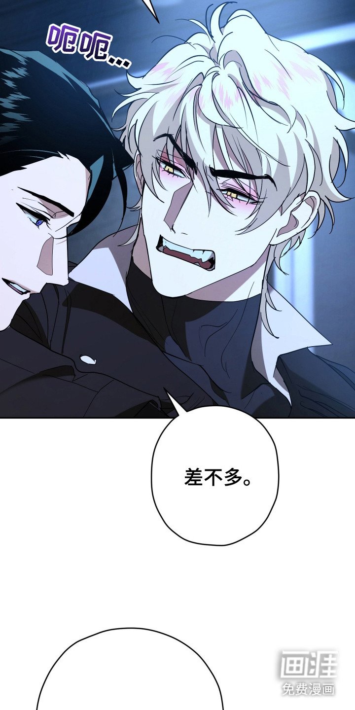第17章：耳环