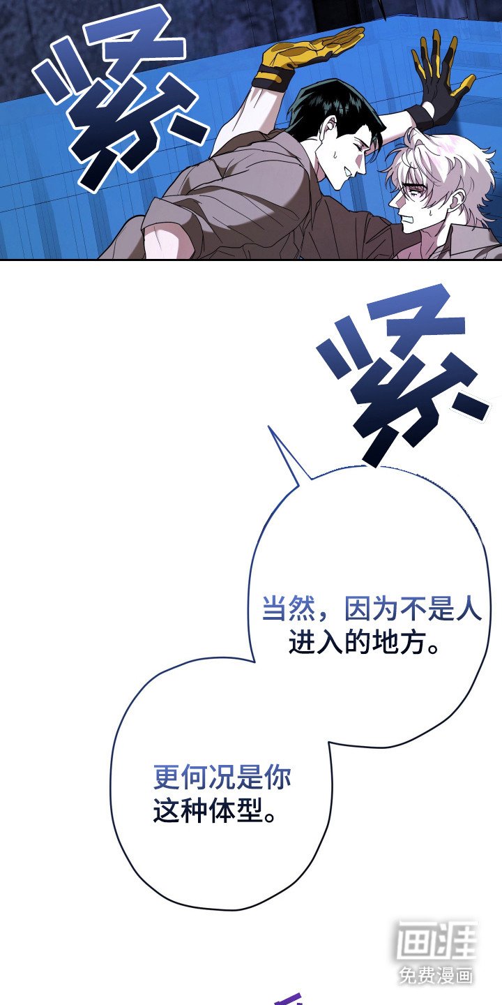 第17章：耳环