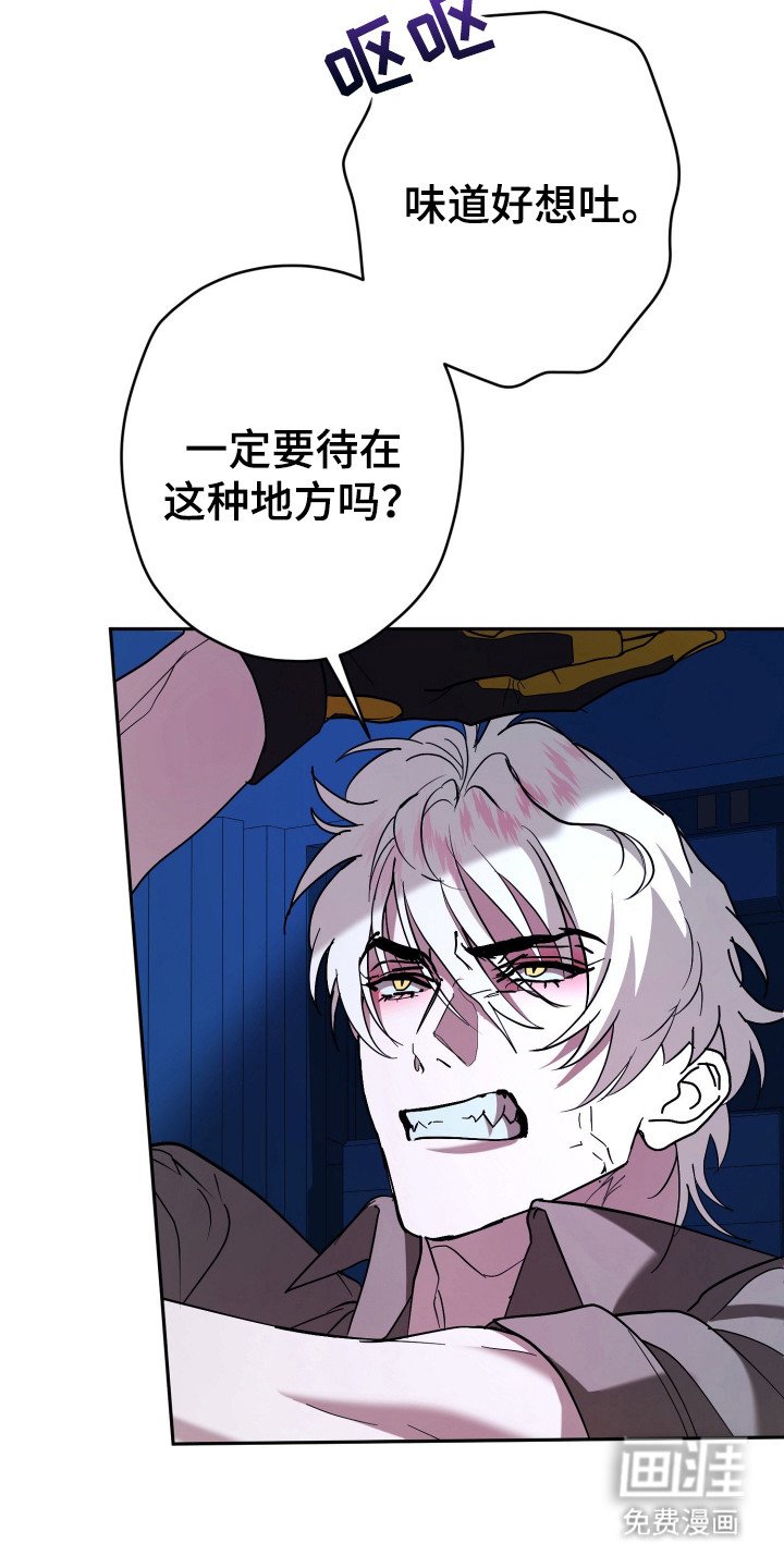 第17章：耳环