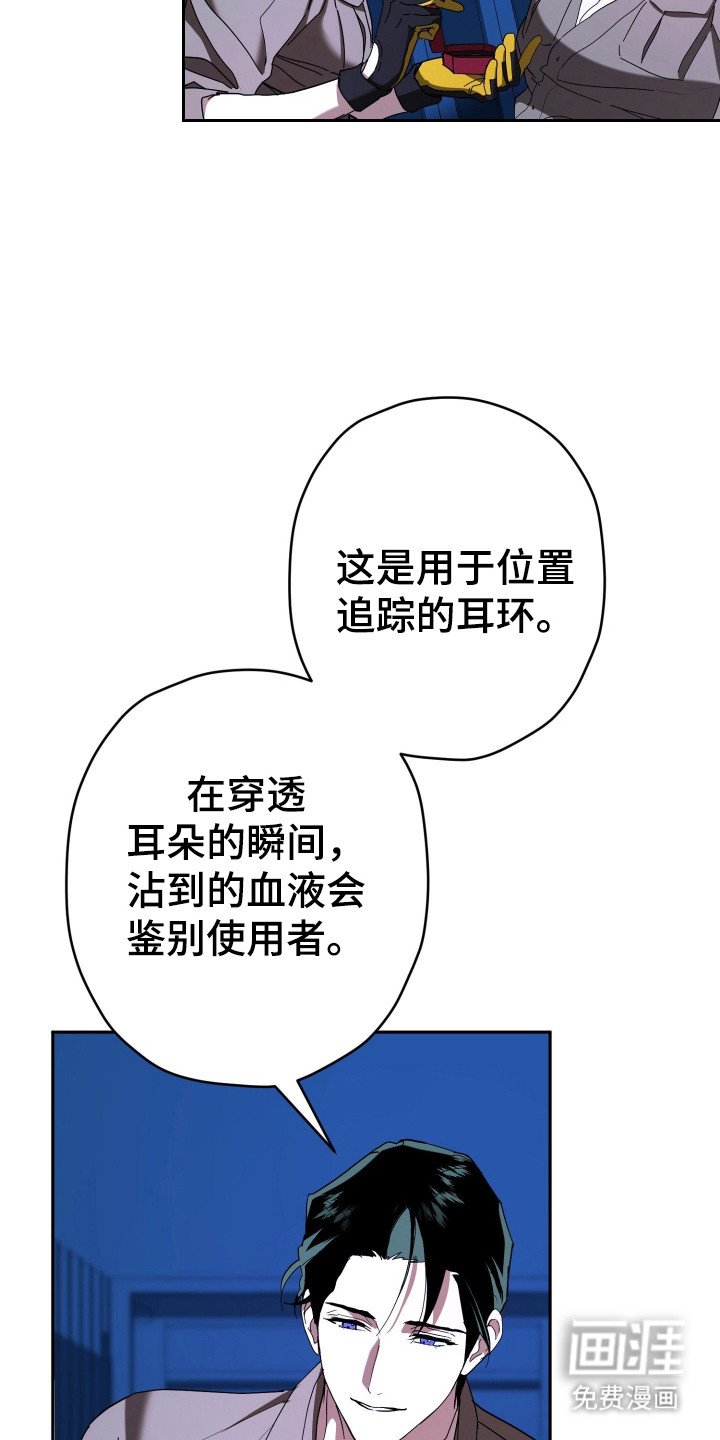 第17章：耳环