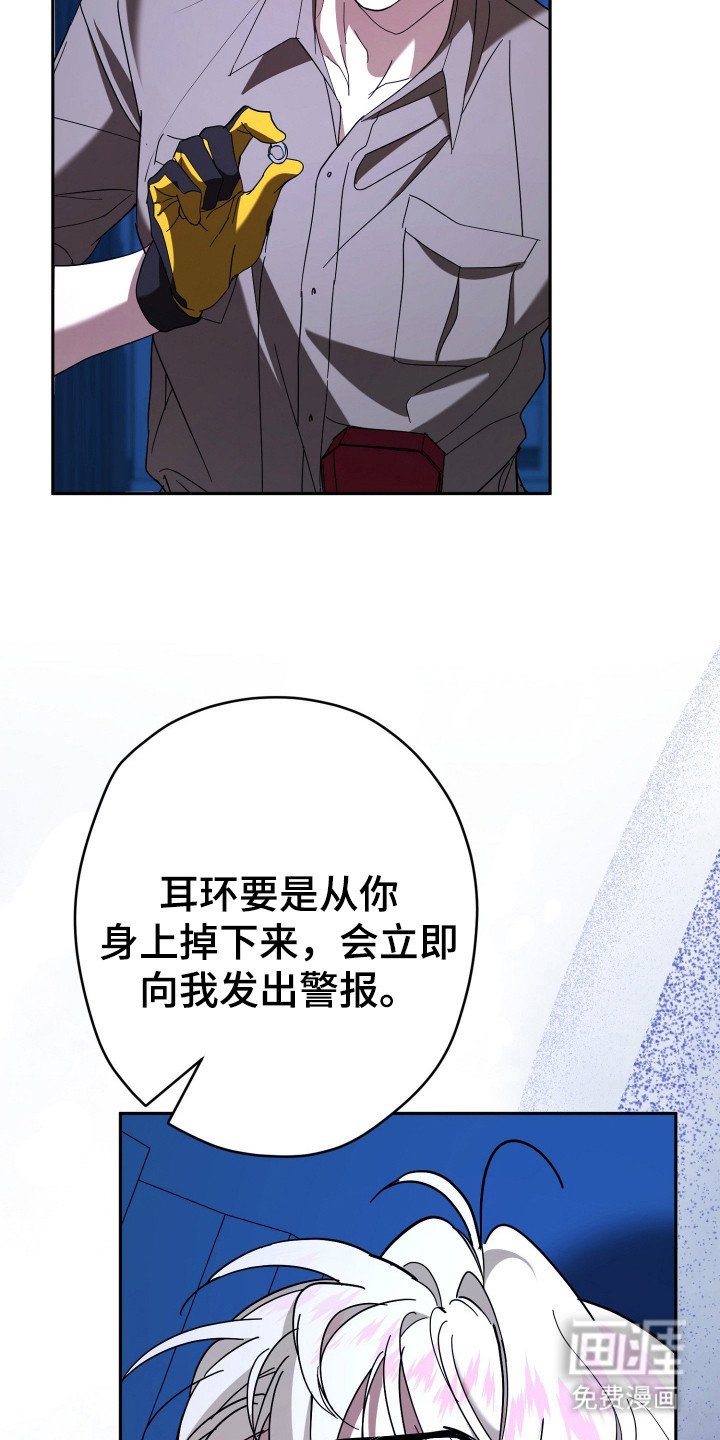 第17章：耳环