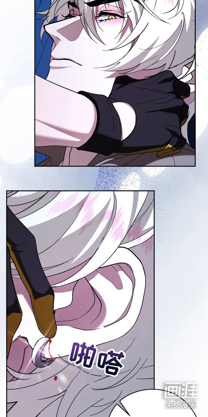 第17章：耳环