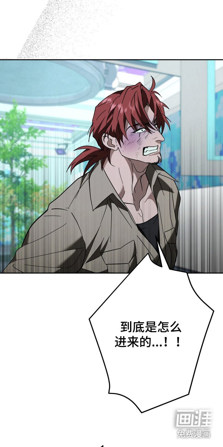 第19章：陷阱