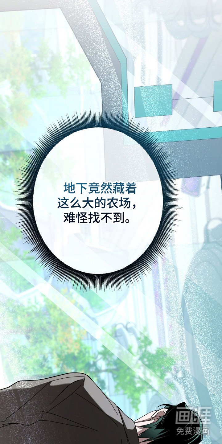 第19章：陷阱