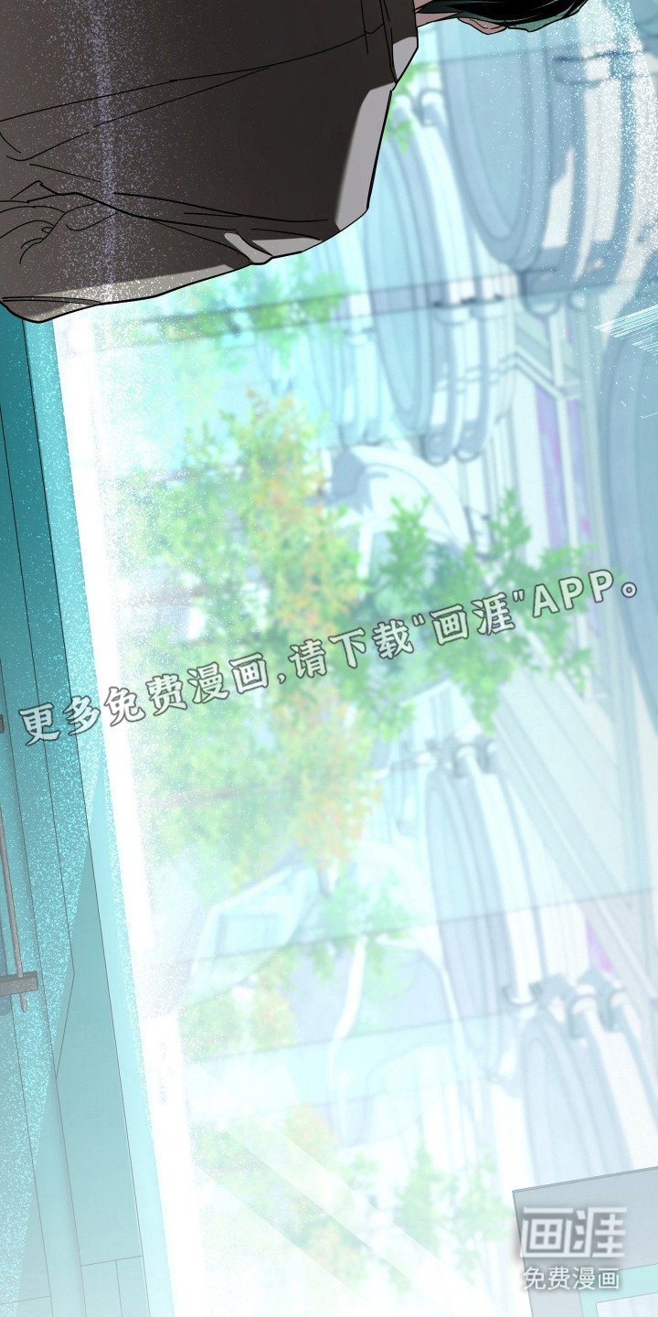 第19章：陷阱