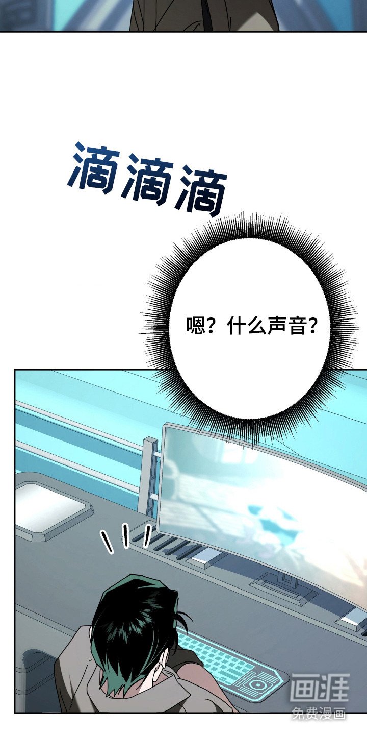 第19章：陷阱