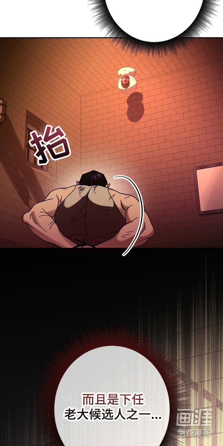 第19章：陷阱