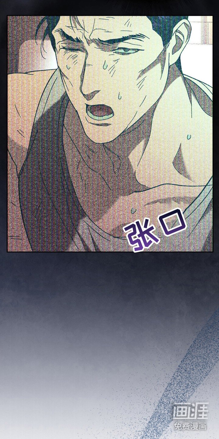 第19章：陷阱