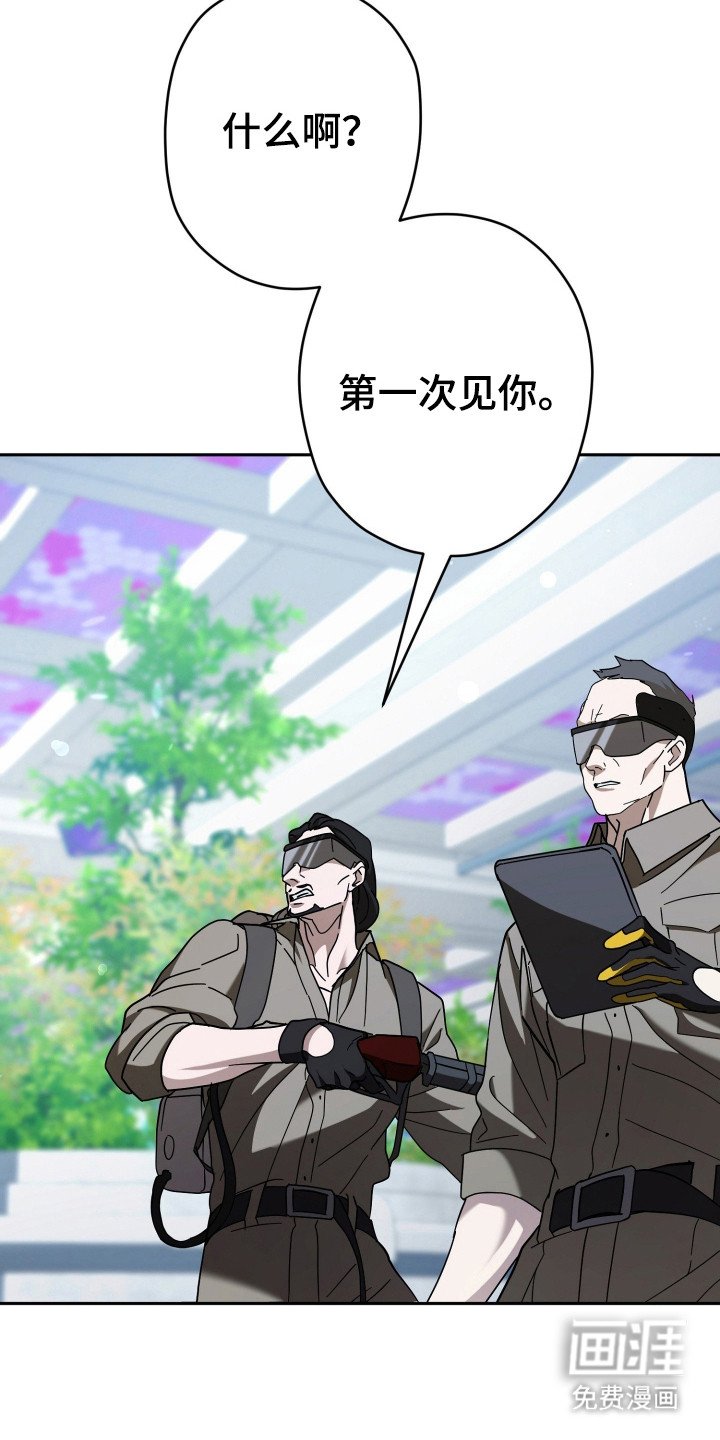 第19章：陷阱
