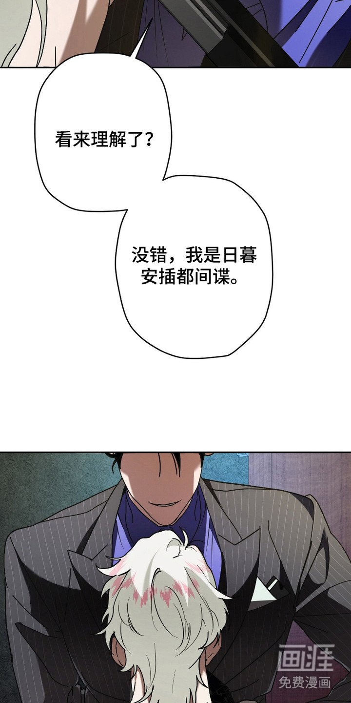 第2章：提议
