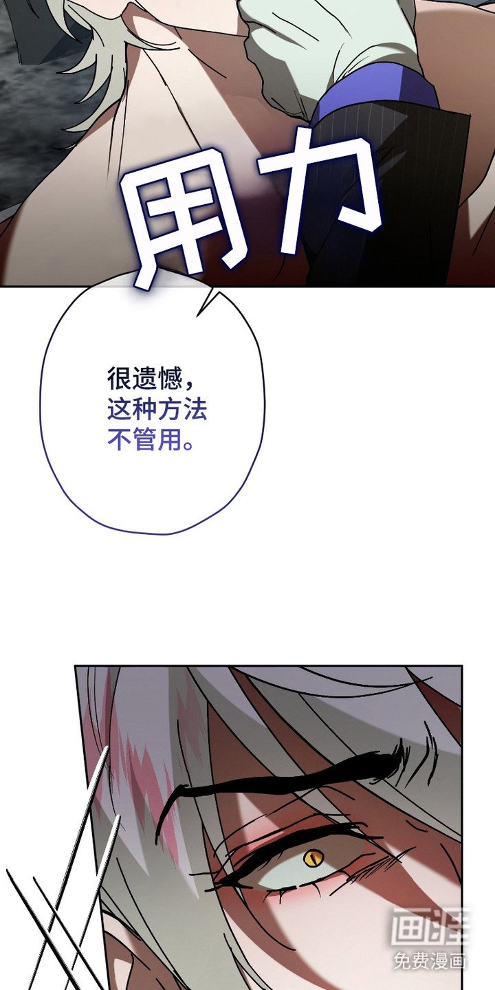 第2章：提议