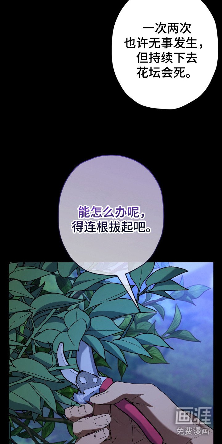 第21章：无可奈何