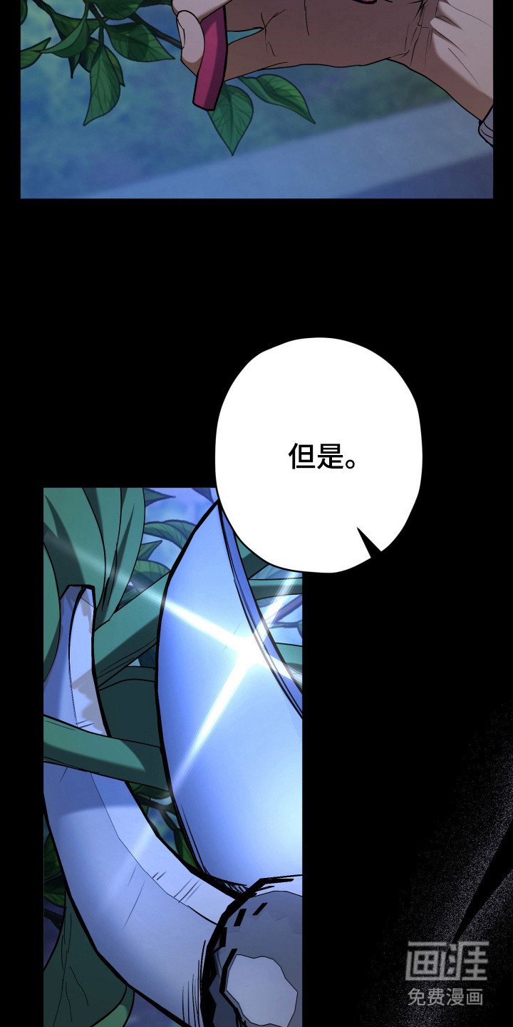 第21章：无可奈何