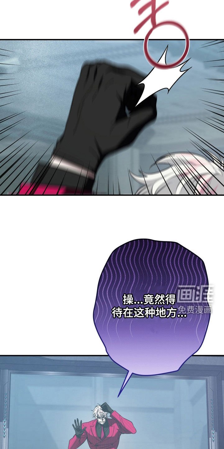 第24章：老实配合我