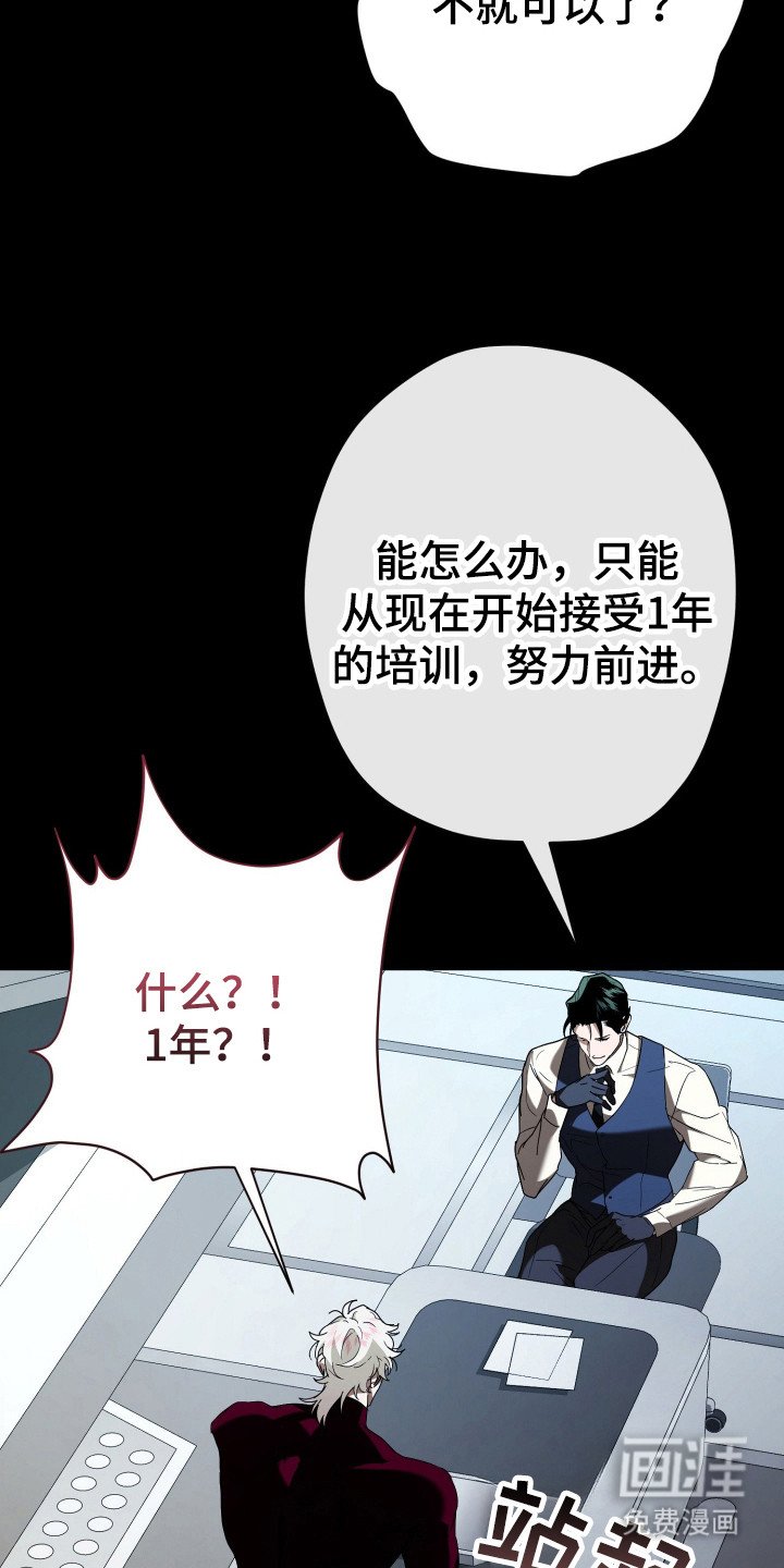 第4章：训练