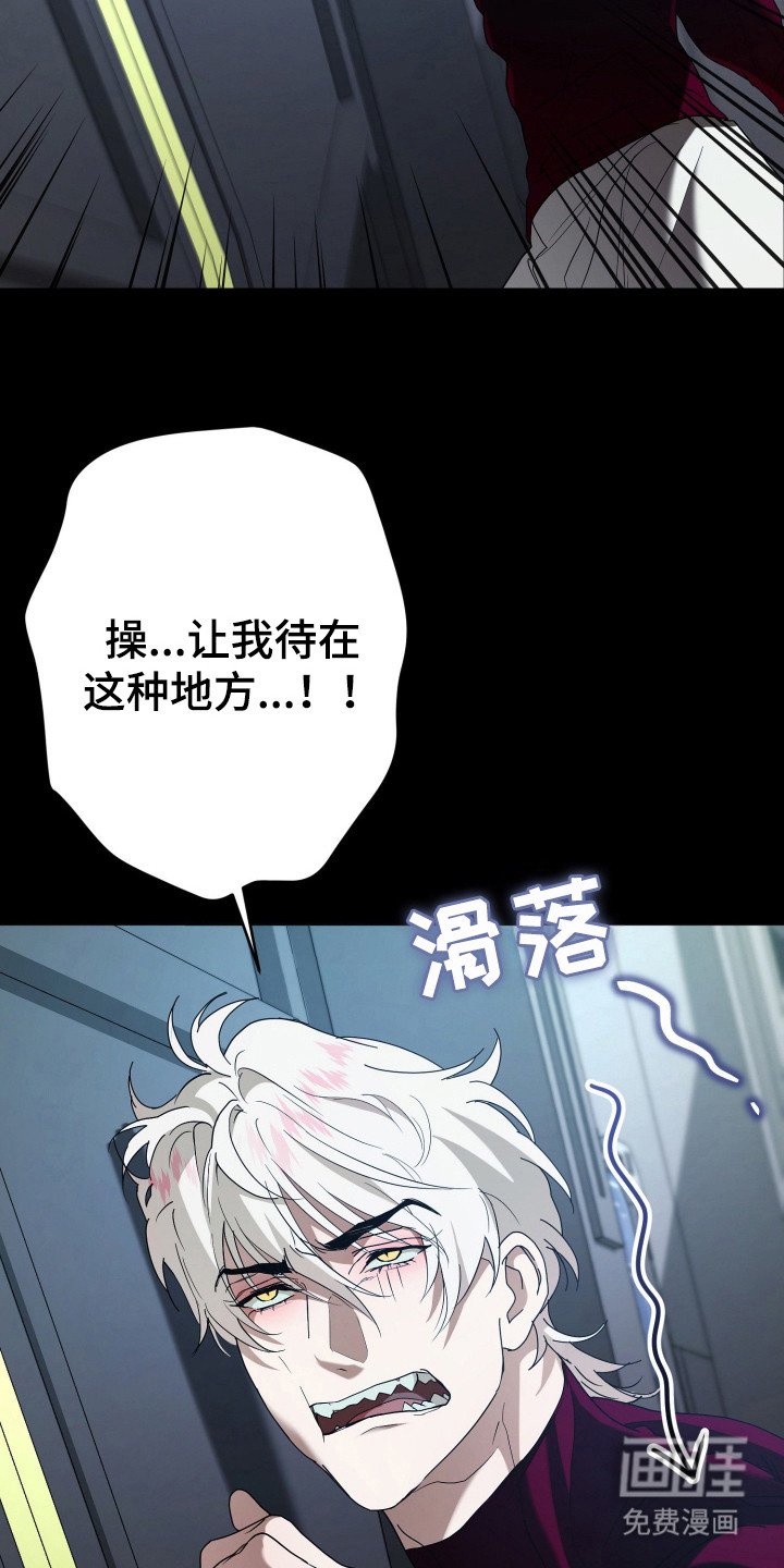 第4章：训练
