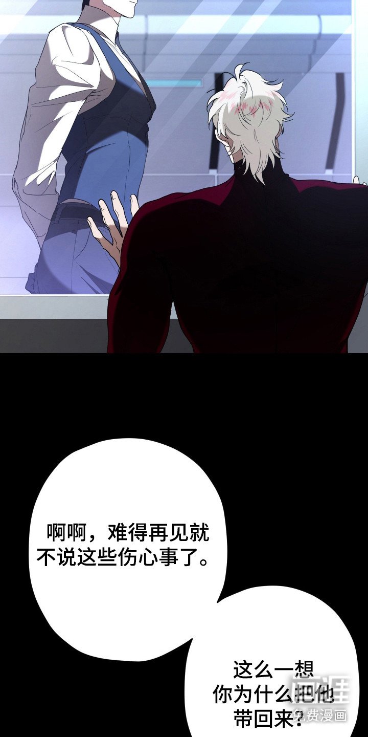第4章：训练