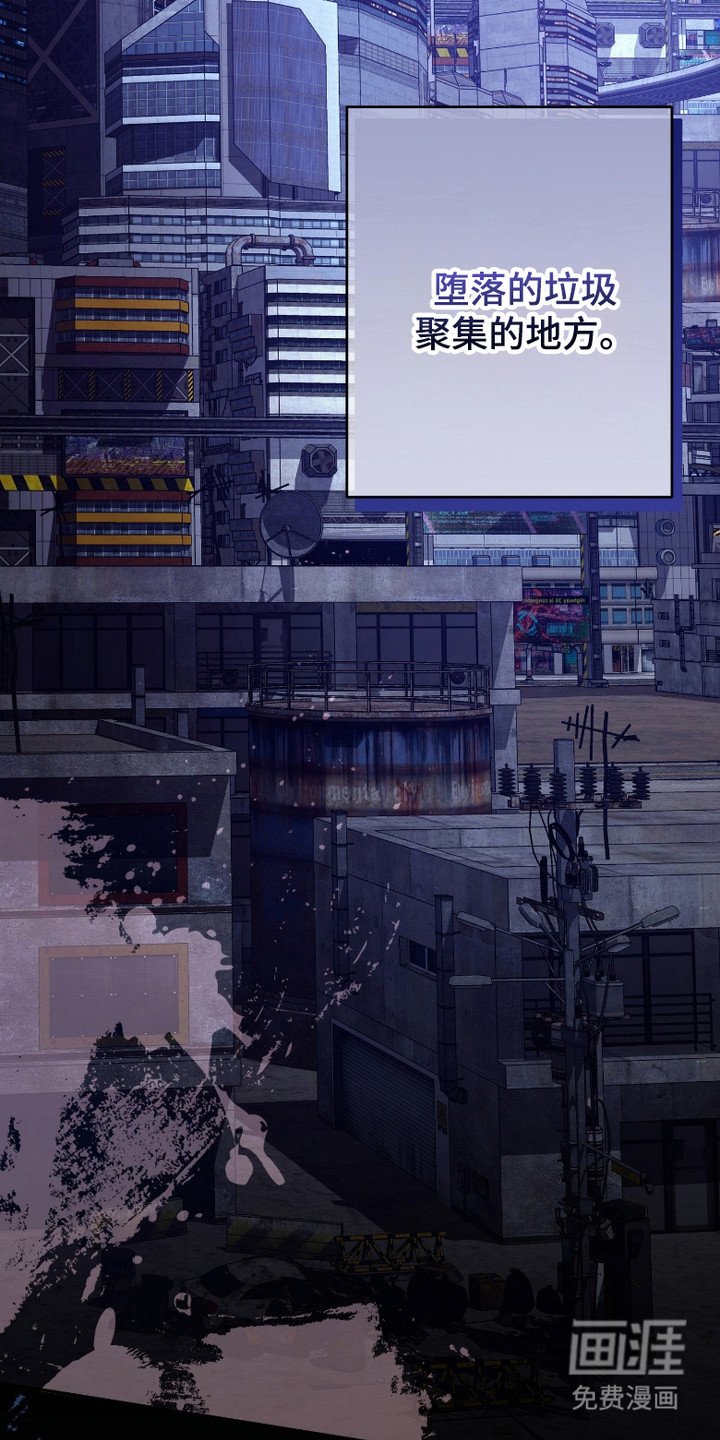 第9章：交易地点