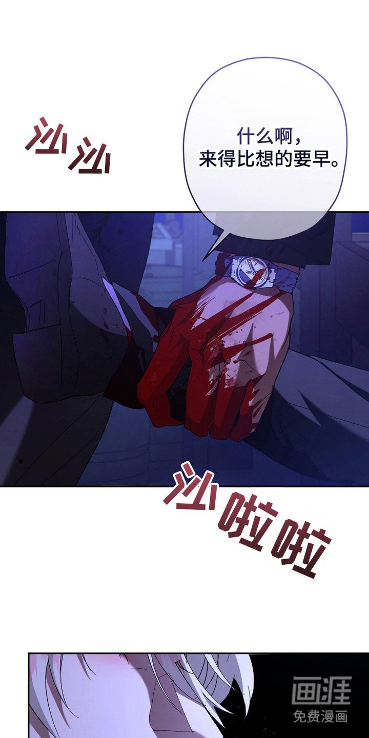 第9章：交易地点