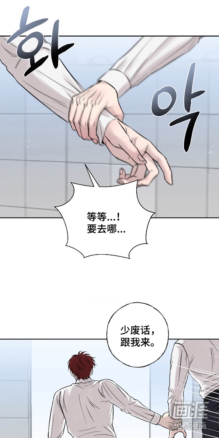 第12章：挑剔