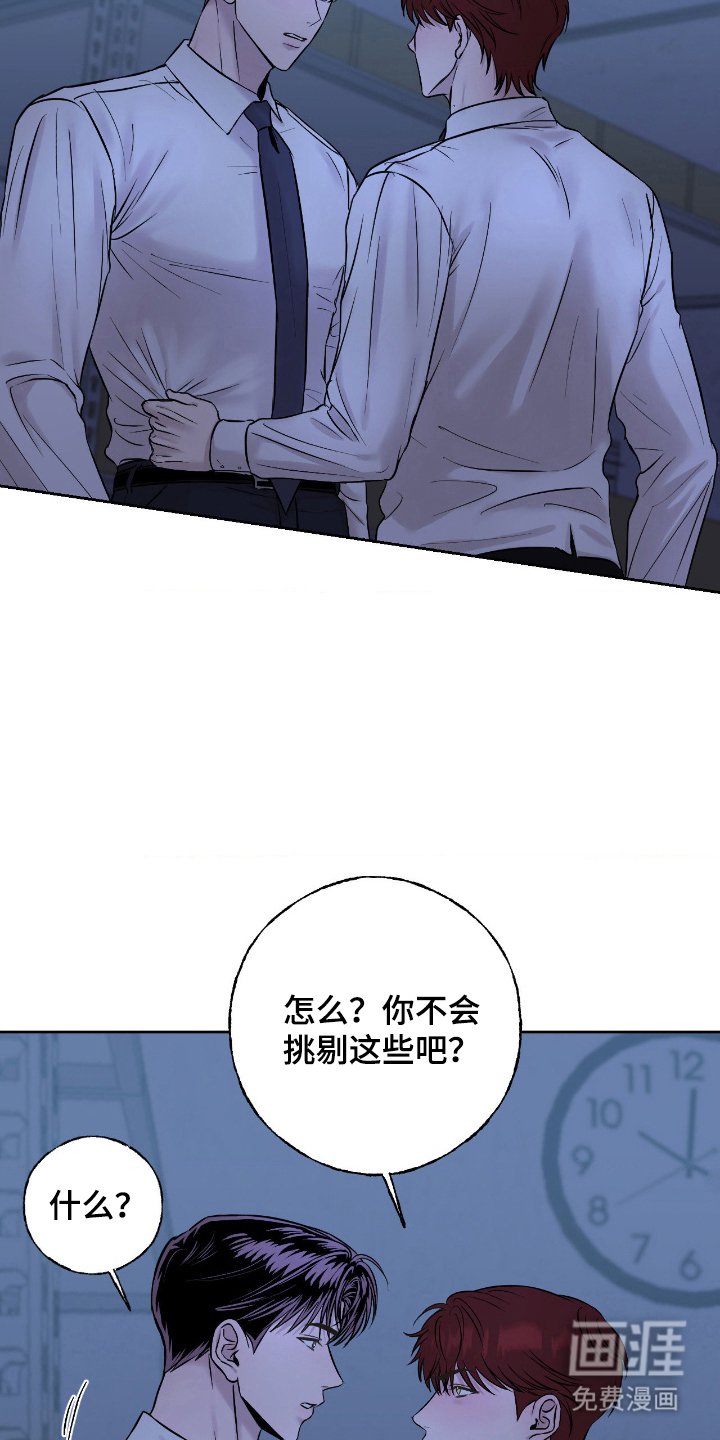 第12章：挑剔