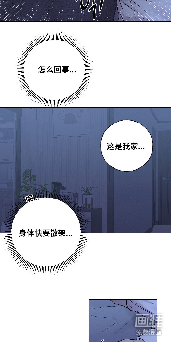 第13章：怎么解释