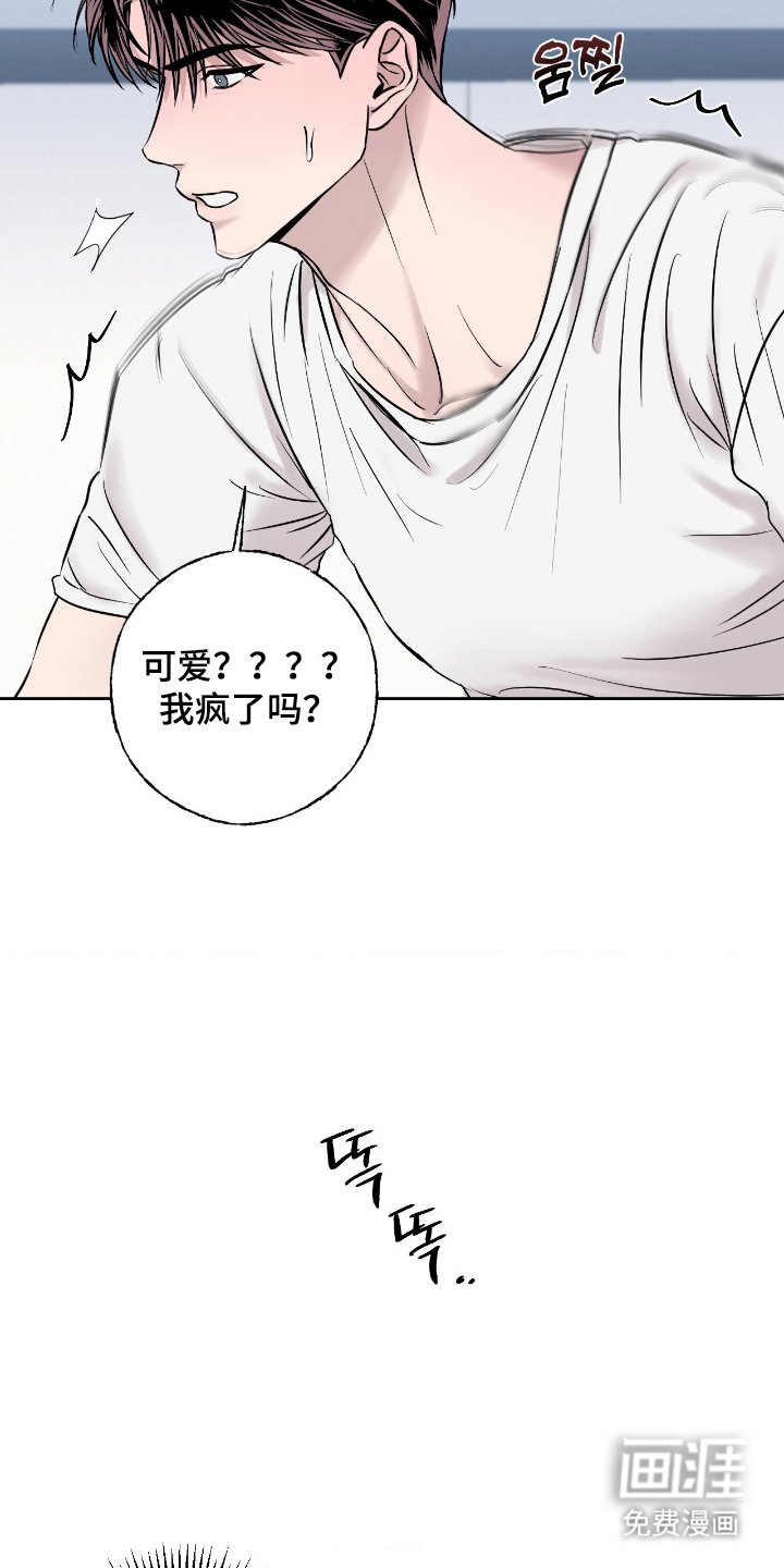 第16章：找个理由