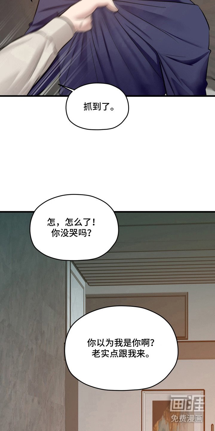 第14章：解释