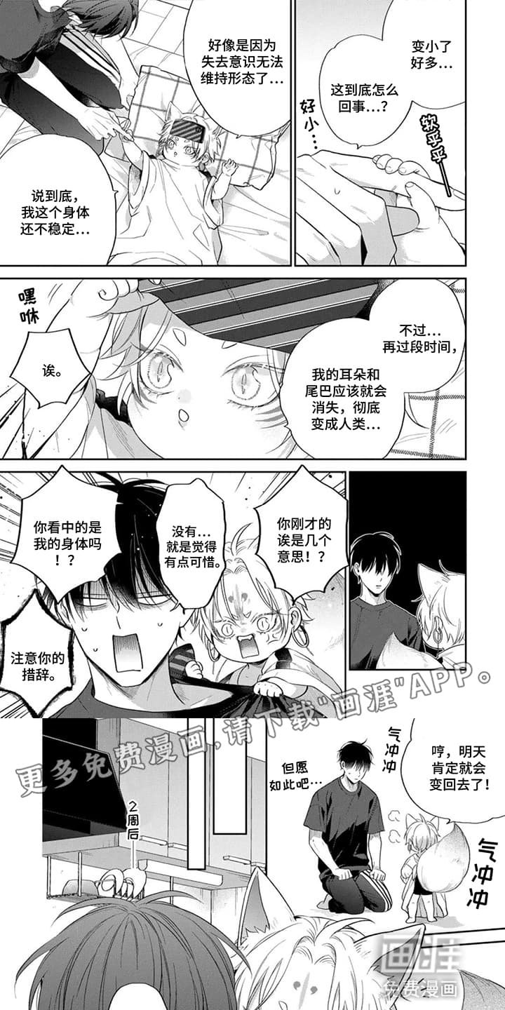 第10章：原形