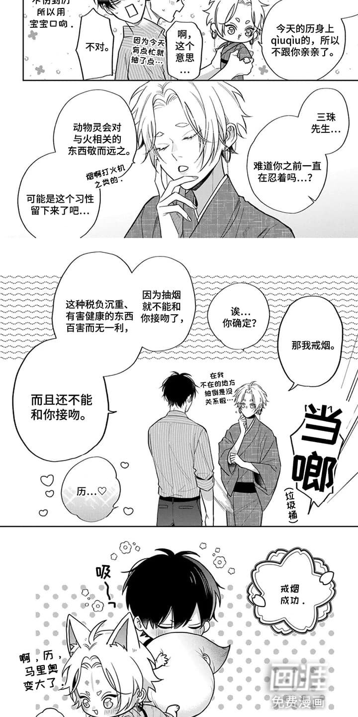 第21章：狐狸出嫁（完结）