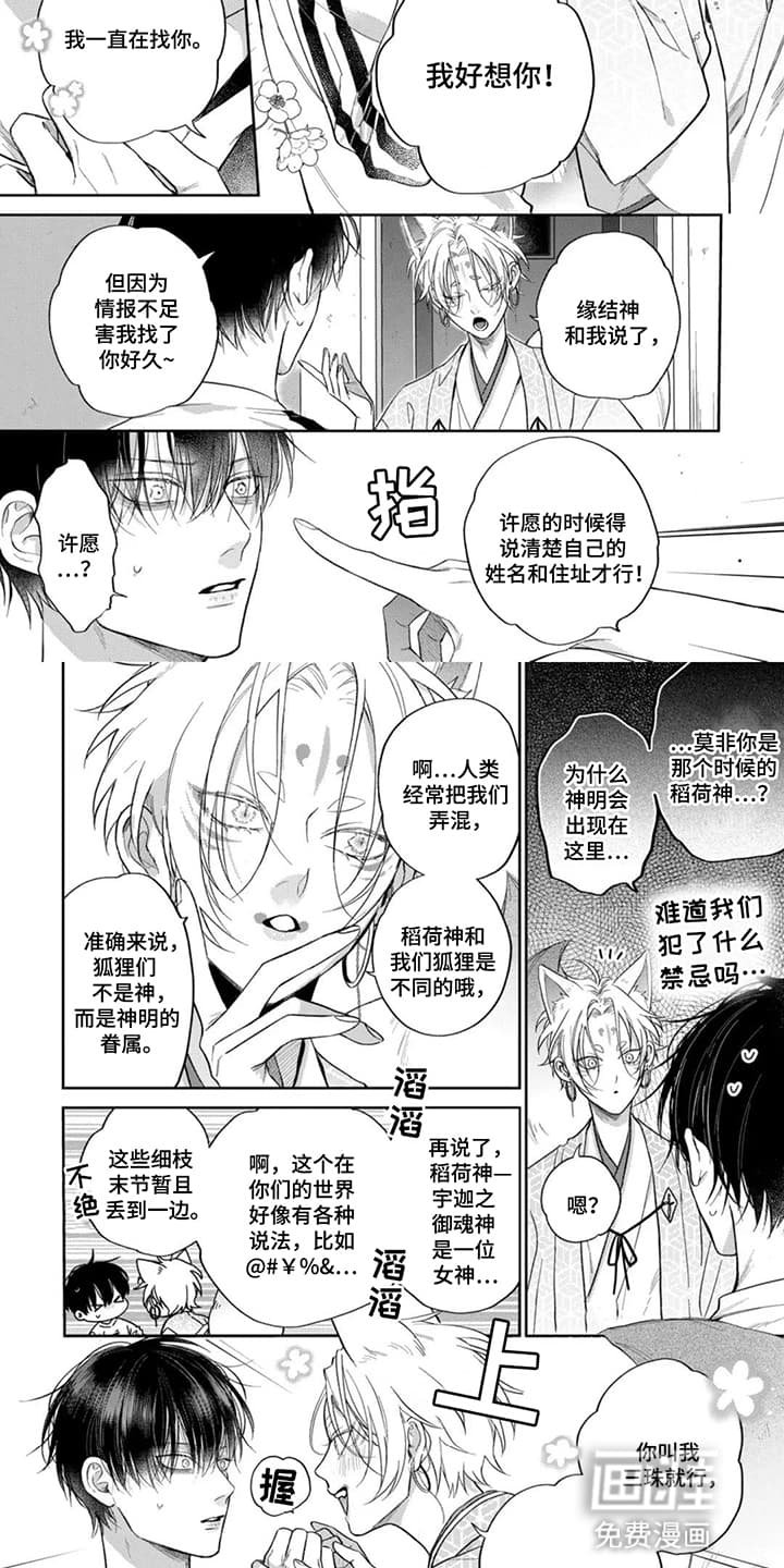 第3章：被狐狸求婚