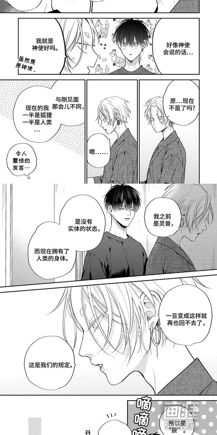 第7章：大奖