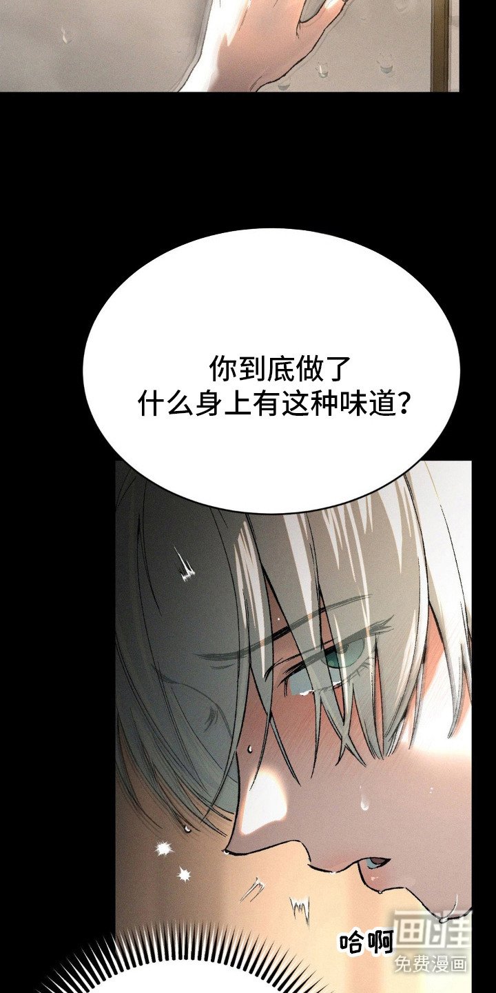 第6章：价值