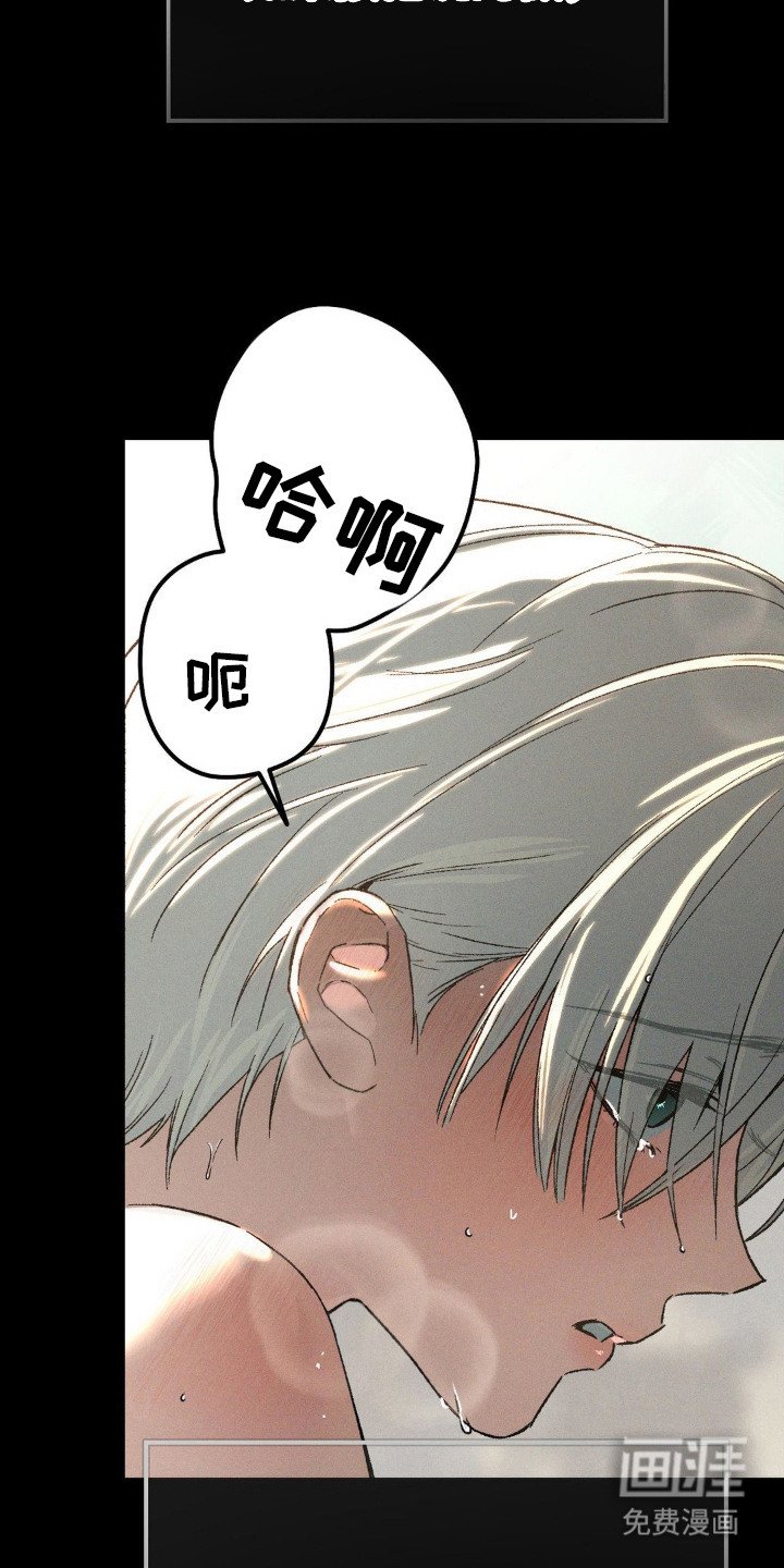 第6章：价值