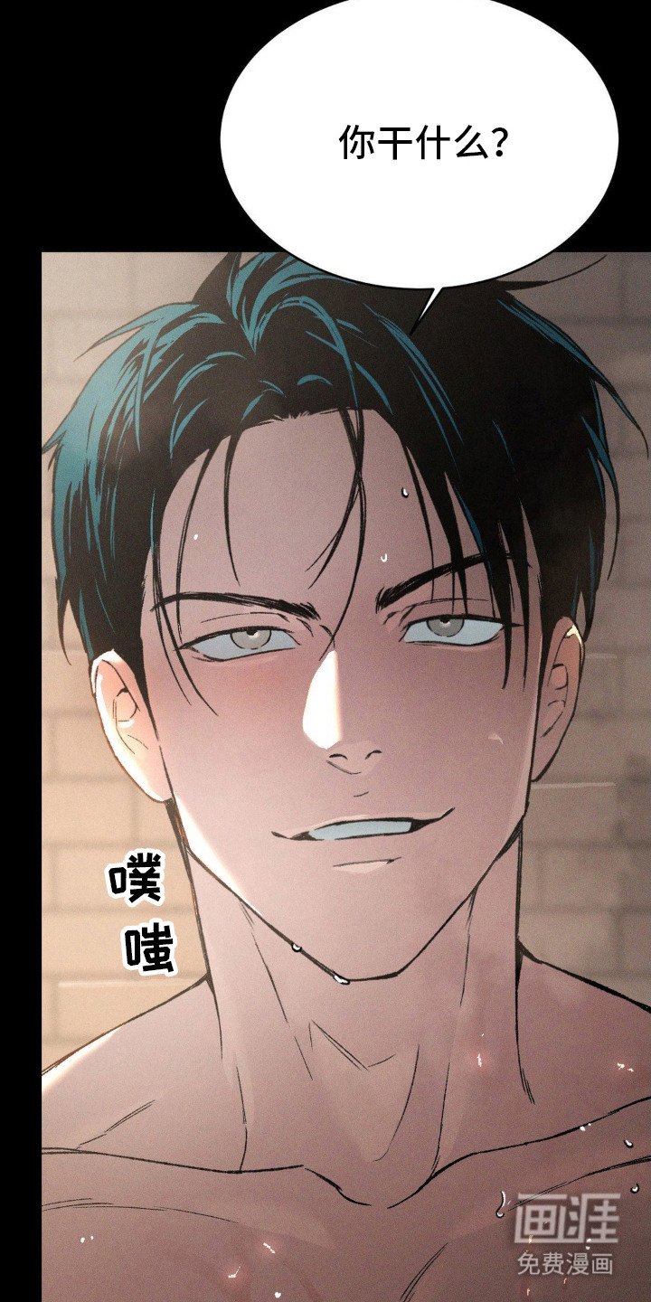 第6章：价值