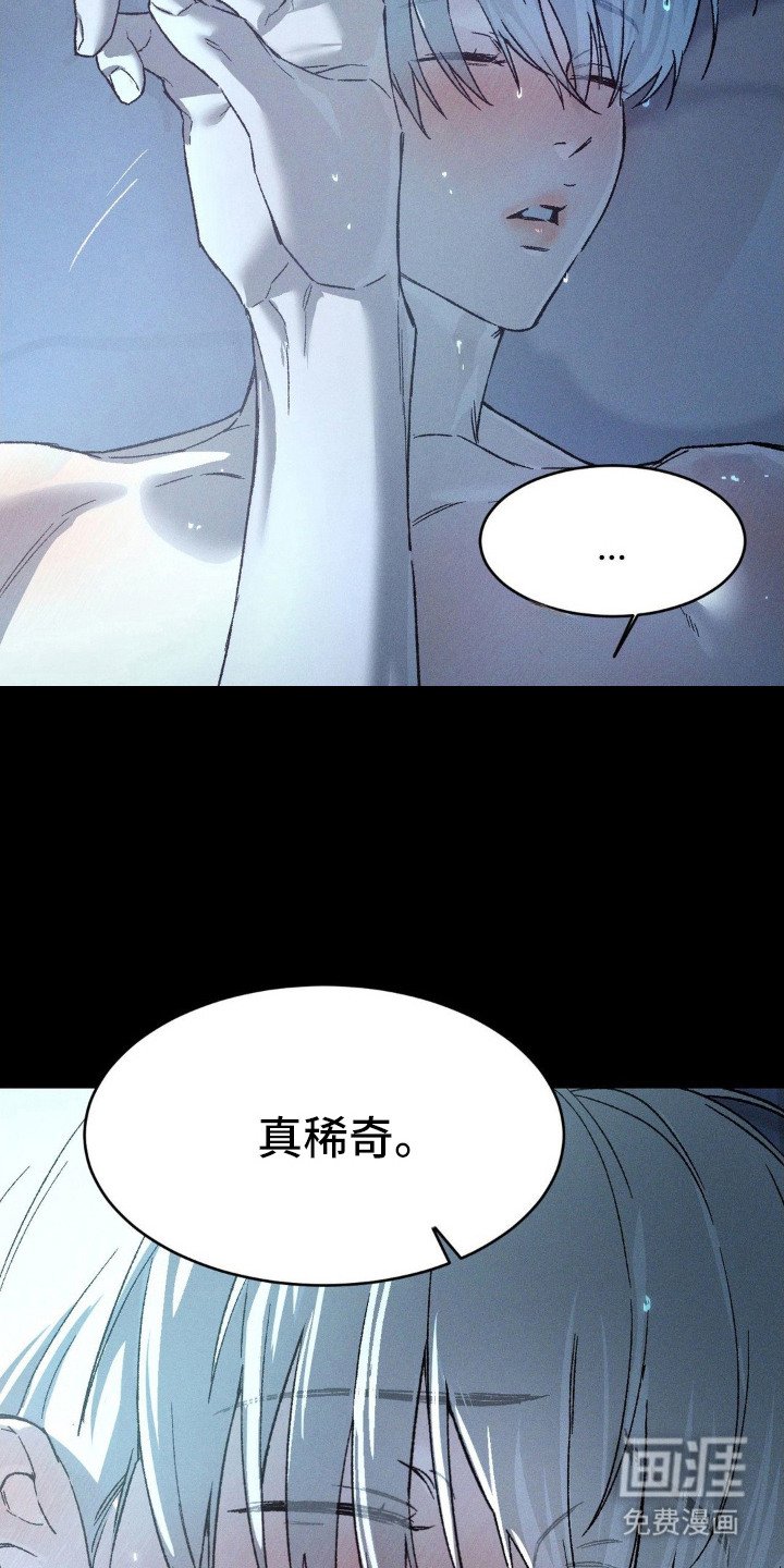 第8章：调查
