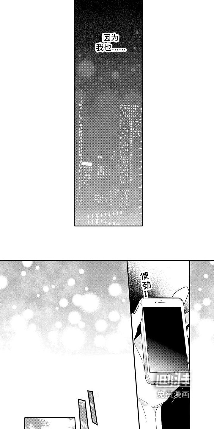 第15章：利用