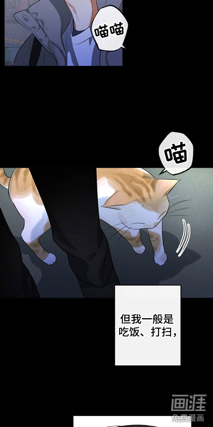 第11章：解开了